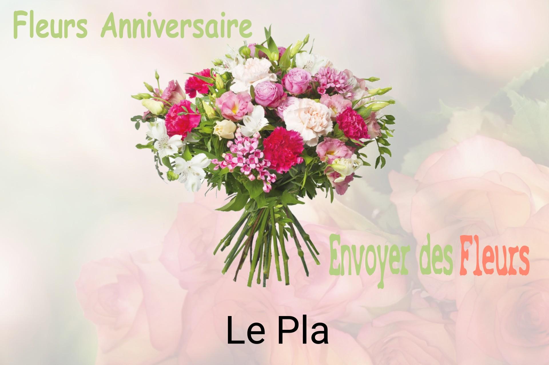 Bouquet de fleurs d’anniversaire livré à Le Pla