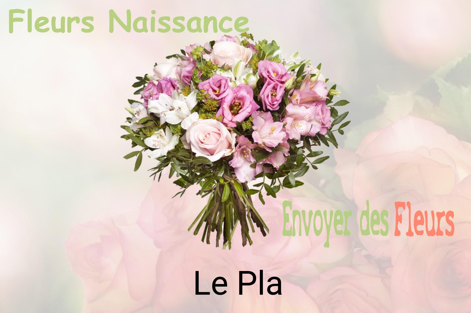 Bouquet de fleurs de naissance livré à Le Pla