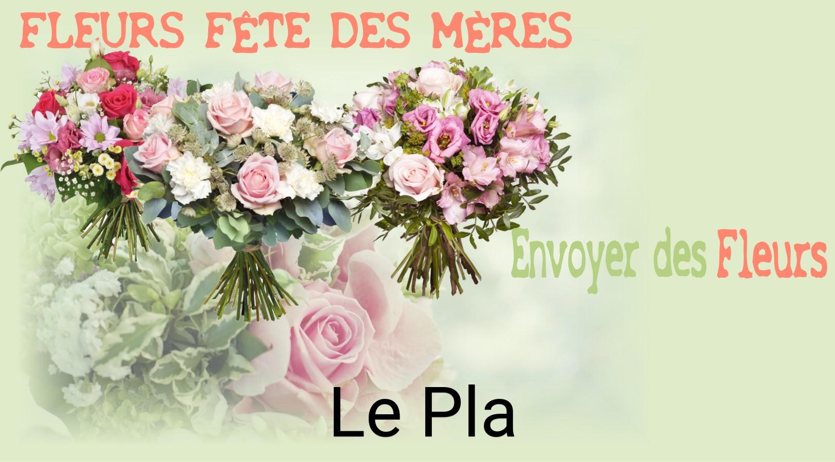 Bouquet de Fête des Mères livré à Le Pla